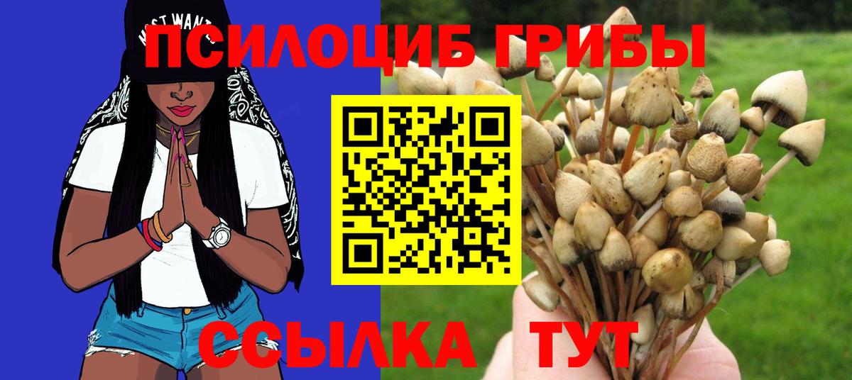 Псилоцибиновые грибы прущие грибы Вышний Волочёк