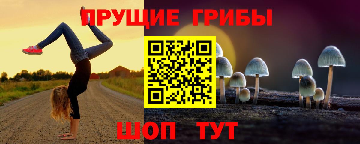 Вышний Волочёк  Псилоцибиновые грибы мухоморы  Вход с VPN 